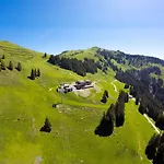 Отель Bichlalm Berggasthof Кицбюэль