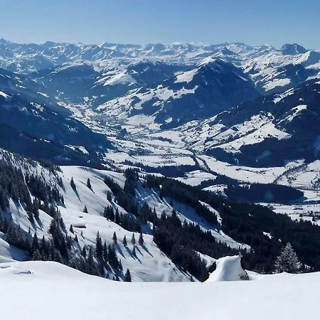 Bichlalm Berggasthof 基茨比厄尔